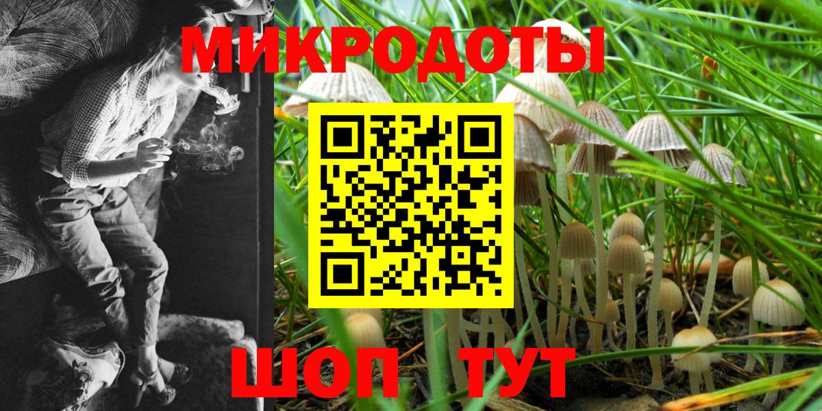 Гусиноозёрск  Псилоцибиновые грибы мухоморы  Вход с VPN 