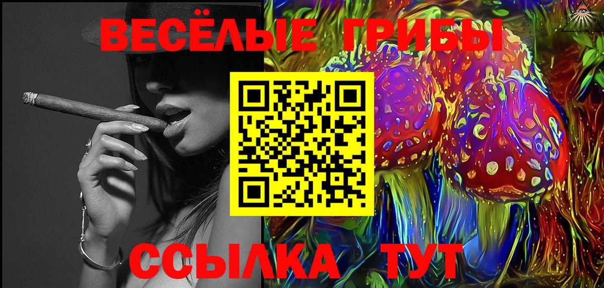 Псилоцибиновые грибы MAGIC MUSHROOMS Гусиноозёрск